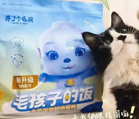粮！三只松鼠靠什么重返宠物食品赛道开元棋牌试玩零食巨头盯上毛孩子口
