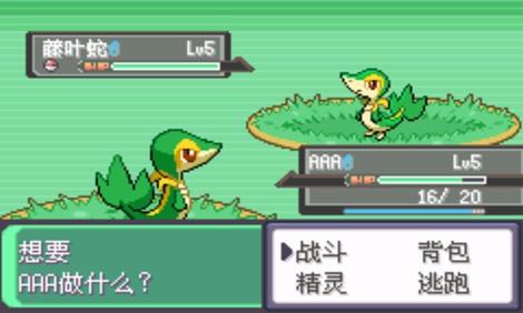 怪漆黑的魅影60开元棋牌口袋妖(图3)