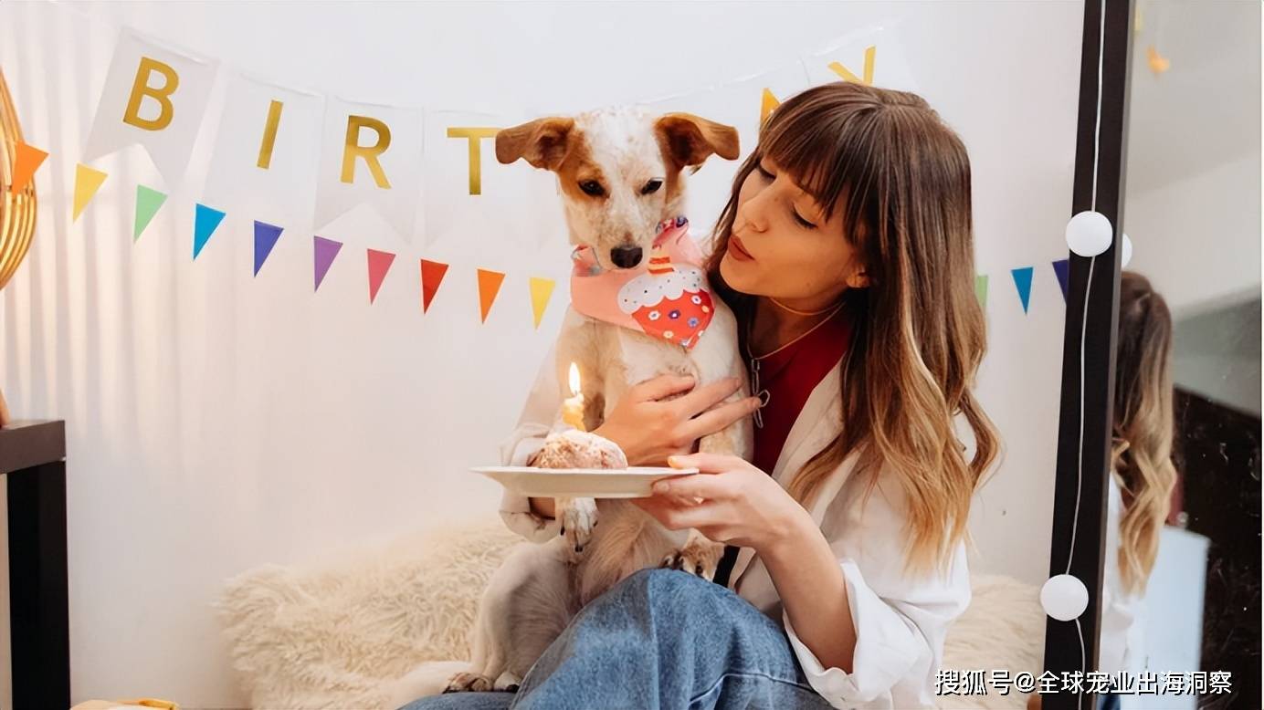 给宠物过生日好奢华都在买这些礼物开元棋牌app英国人也太会了！(图5)