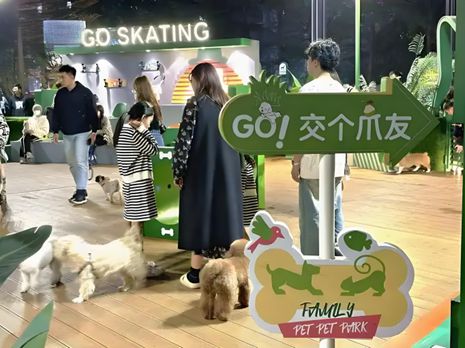 生丨宠物坐高铁侯毅下厨房开元棋牌网站实探派特鲜(图4)