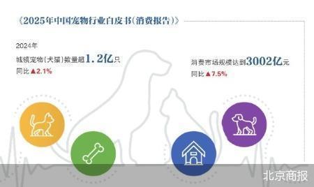 近 半宠物鲜食的风口迷局开元棋牌试玩派特鲜生关店